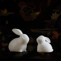 Creative White Porcelain Cute Rabbit Tea Pet Table Decoration Zen Gongfu Tea Accessories Potted Plants Micro Landscape Design