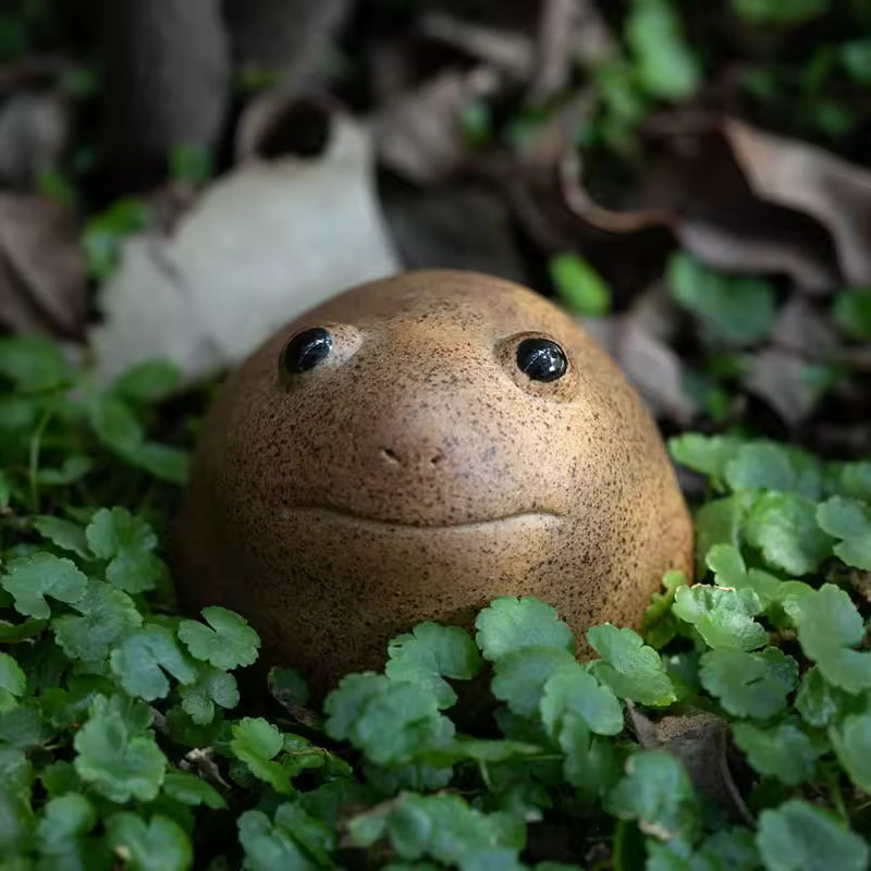 Wealth Attraction Golden Toad Tea Pet Handmade Clay Big Eyes Frog Cute Animal Zen Gongfu Tea Set Home Decoration